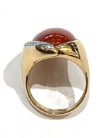 Ringe Silvia Kelly Dame Pezzi Unici in Gelbgold Corallo AN666/2X-351184 - AN666/2X-351184